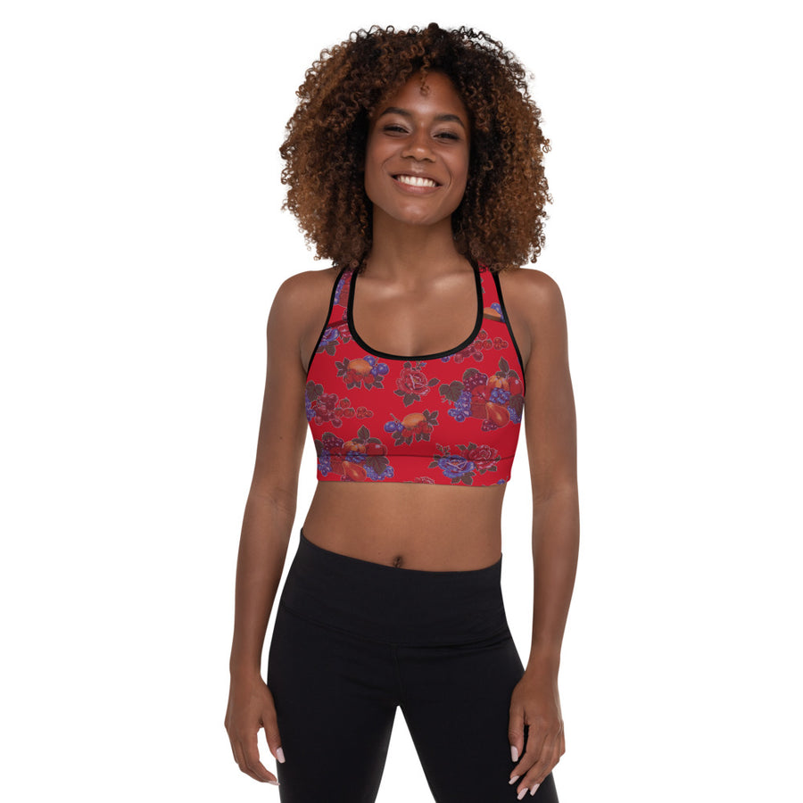 Fruit and Roses Red OilCloth Print Padded Sports Bra – Bunny Hill Activewear