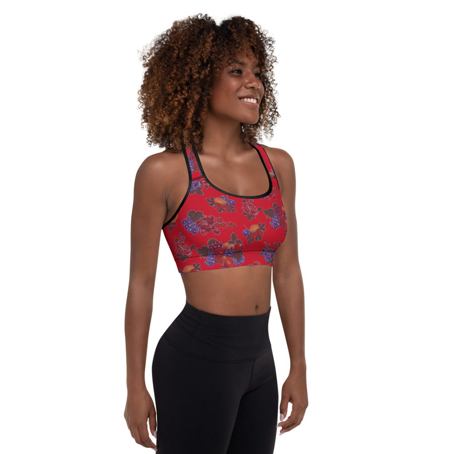 Fruit and Roses Red OilCloth Print Padded Sports Bra – Bunny Hill Activewear